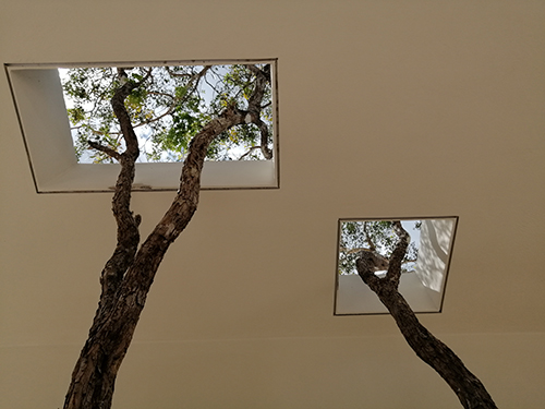 Interior casa dzidzil-ha